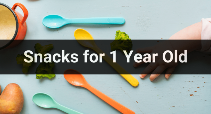 Snacks for 1 Year Old